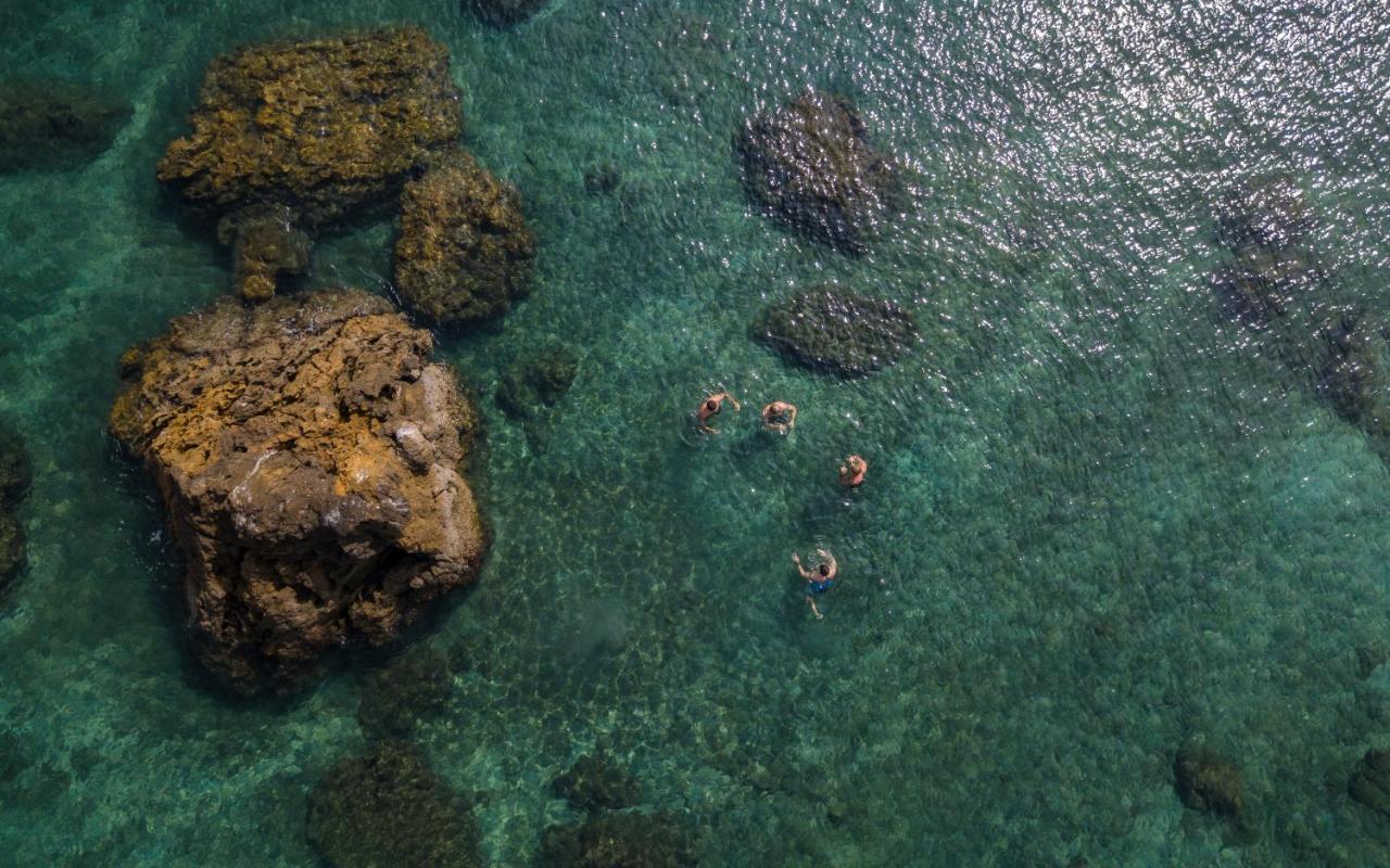 Los Vivos Beachfront Experience Pochote Ngoại thất bức ảnh